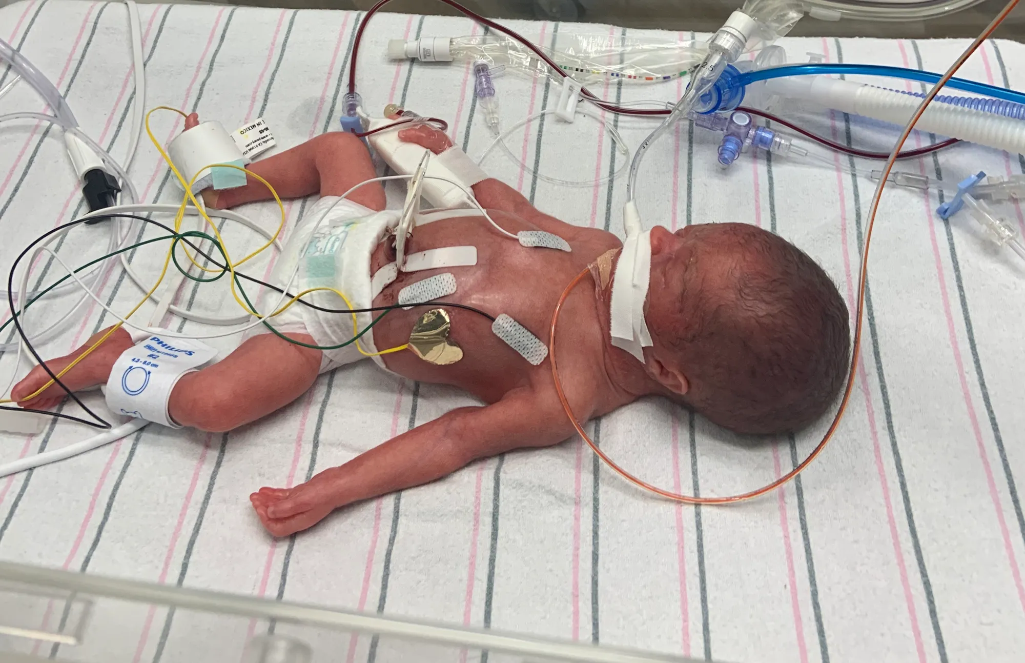 Leonidas Paul Corsaro