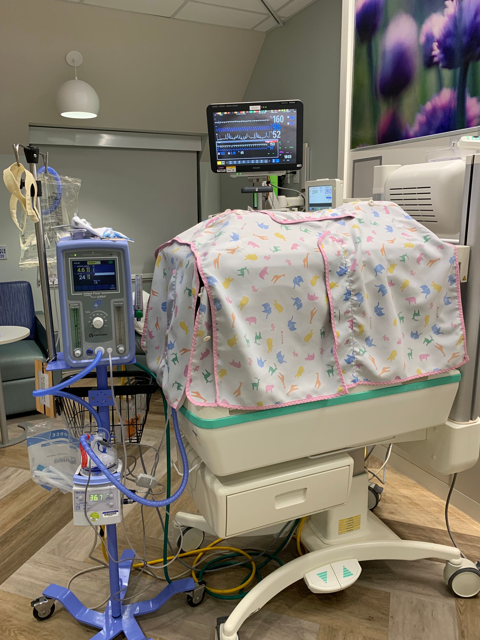 Leo is regulating his temperature