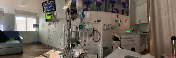 Leo’s eye exam and my view today